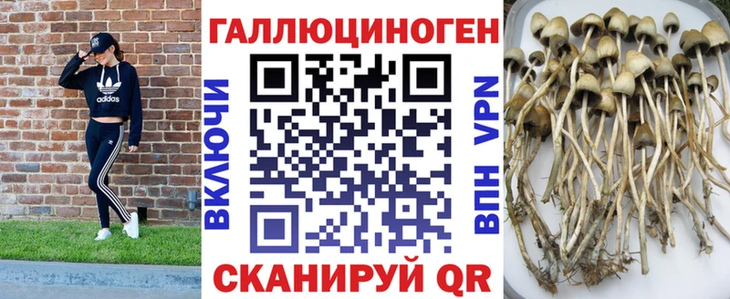 Псилоцибиновые грибы ЛСД  Ленинск 